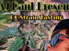 DC Strain Tasting 2021